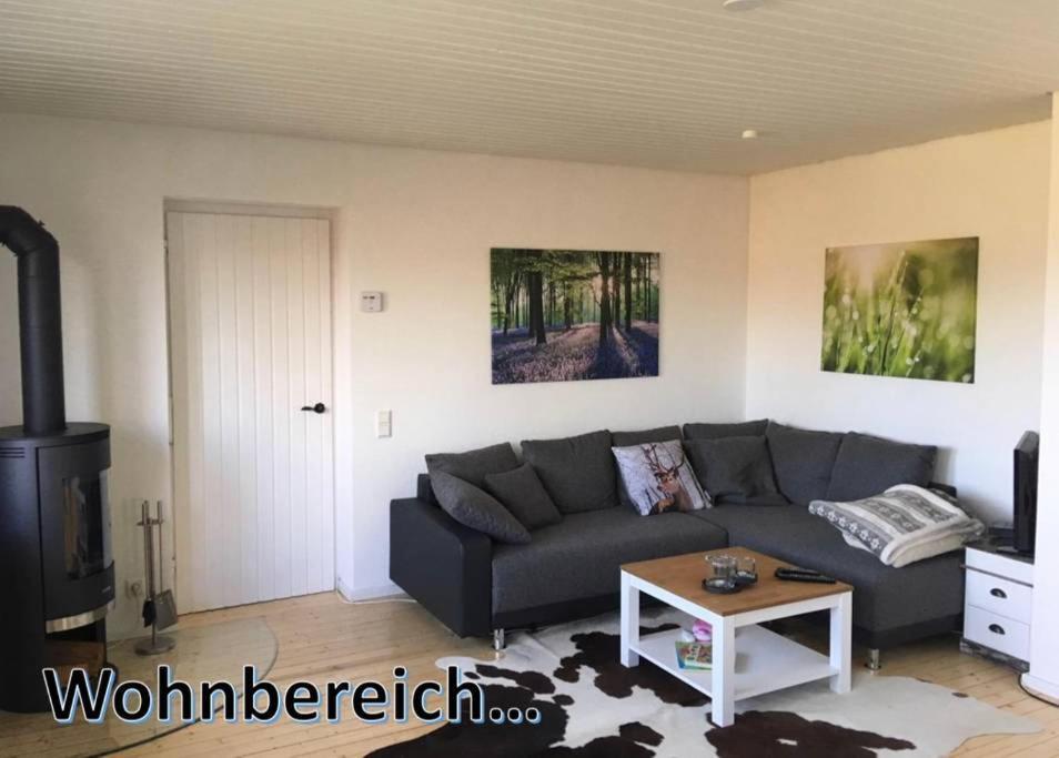Ferienhaus Hohenblick In Winterberg-Langewiese المظهر الخارجي الصورة